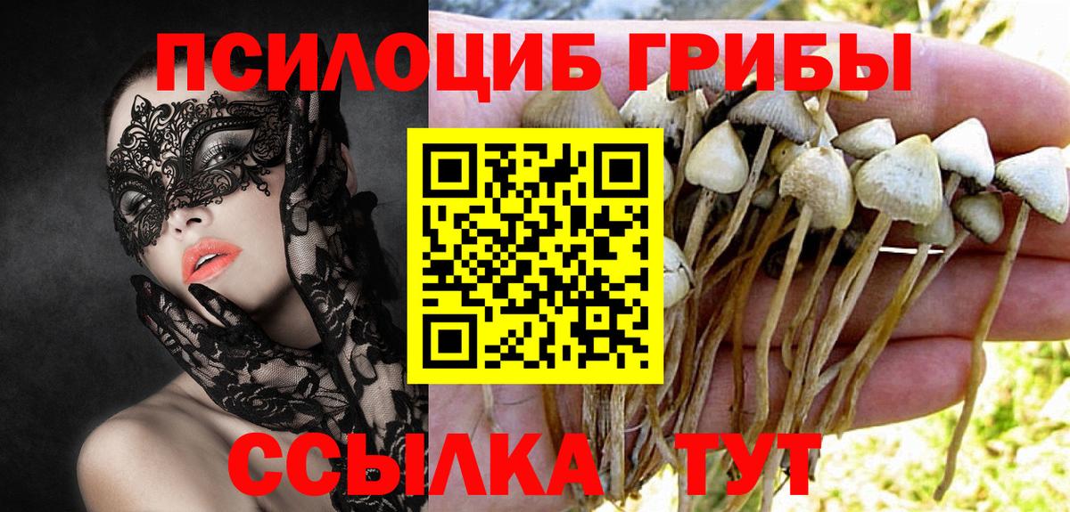 Ростов-на-Дону  Галлюциногенные грибы ЛСД  Галлюциногенные грибы Psilocybe  Вход с VPN 